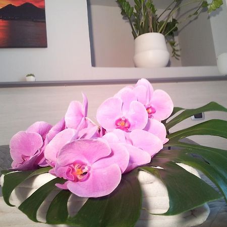 B&B Solimena Napels Buitenkant foto